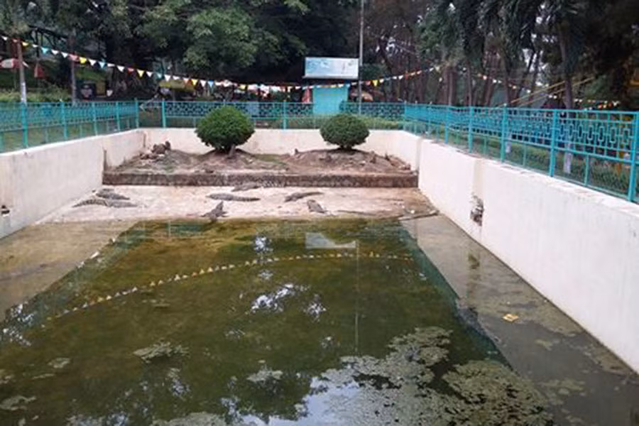 Ảnh: Đức An Ảnh: Đức An