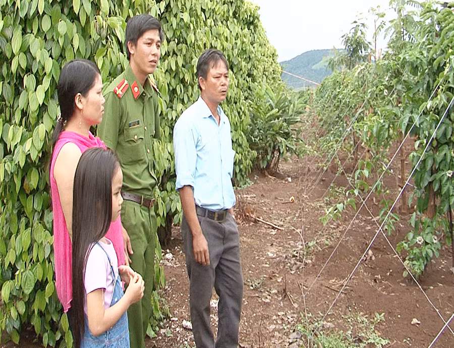 Anh Dũng (ngoài cùng bên phải) giới thiệu vườn tiêu và chanh dây. Ảnh: L.A