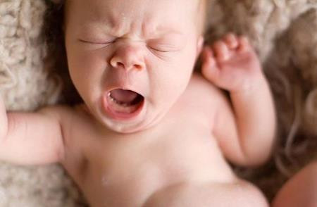 Cái ngáp này không một ai có thể ngăn cản nổi!