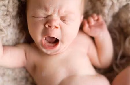 Cái ngáp này không một ai có thể ngăn cản nổi!