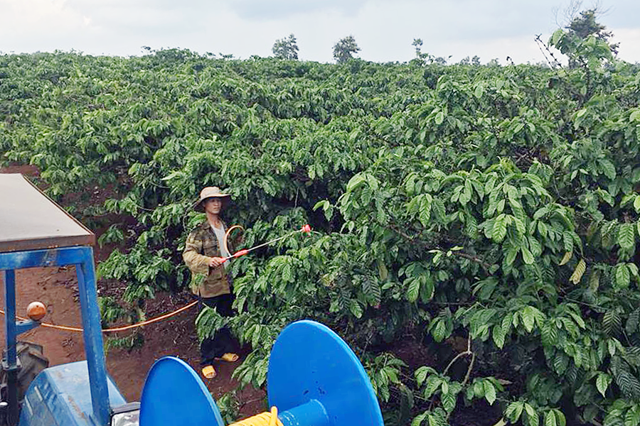 Công nhân đang chăm sóc vườn cà phê nhận khoán. Ảnh: Đ.Y Công nhân đang chăm sóc vườn cà phê nhận khoán. Ảnh: Đ.Y