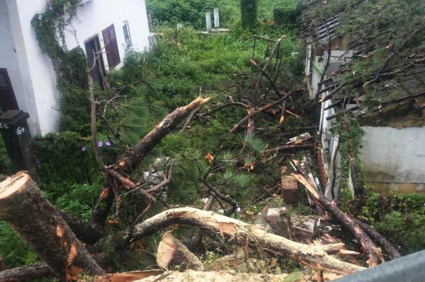 Một nhà dân bị hư hỏng do cây đổ. Một nhà dân bị hư hỏng do cây đổ.