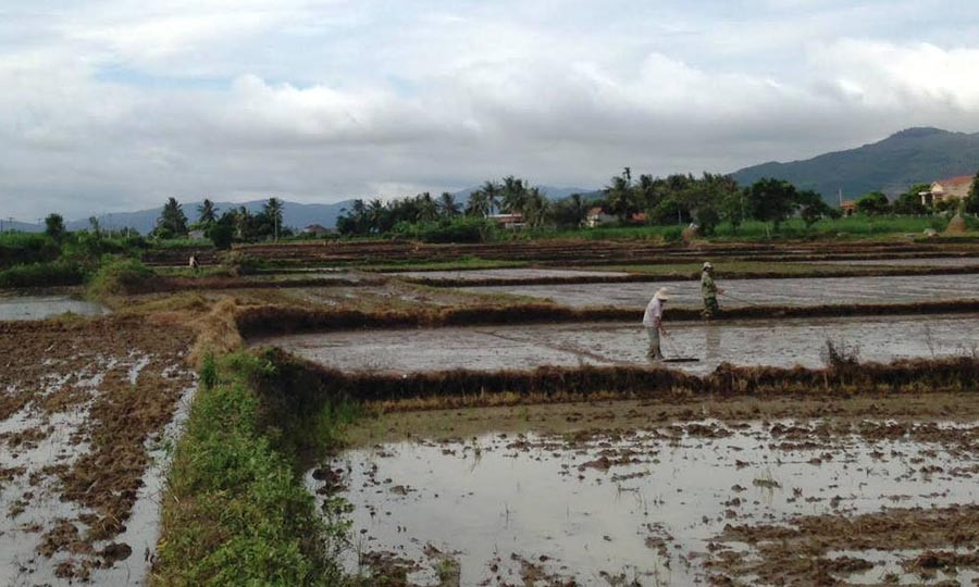 Nông dân đang khẩn trương làm đất, gieo sạ cho kịp mùa vụ. Ảnh: Hồng Thi Nông dân đang khẩn trương làm đất, gieo sạ cho kịp mùa vụ. Ảnh: Hồng Thi