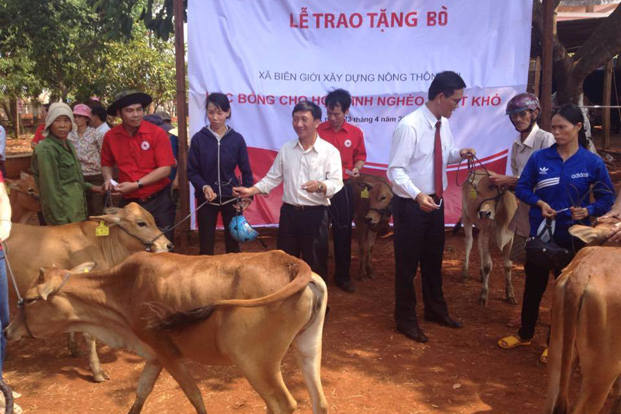 Trao tặng bò cho gia đình có hoàn cảnh khó khăn. Ảnh: Đ.Y Trao tặng bò cho gia đình có hoàn cảnh khó khăn. Ảnh: Đ.Y