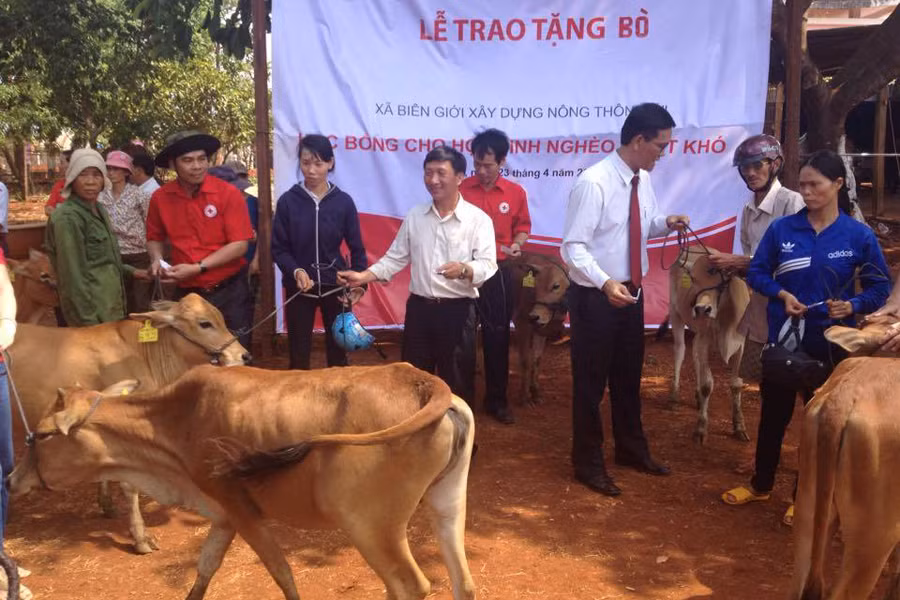 Trao tặng bò cho gia đình có hoàn cảnh khó khăn. Ảnh: Đ.Y