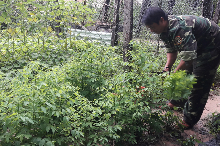 Ia Pô là một trong những điểm tăng gia sản xuất. Ảnh: P.D