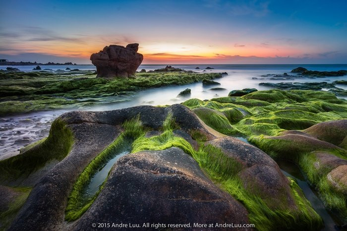 ...hay hay những phiến đá phủ lên mình lớp rêu xanh mịn...