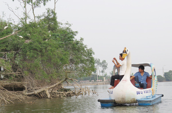Chiếc xuồng đưa khách du lịch quanh đảo Cò Chiếc xuồng đưa khách du lịch quanh đảo Cò