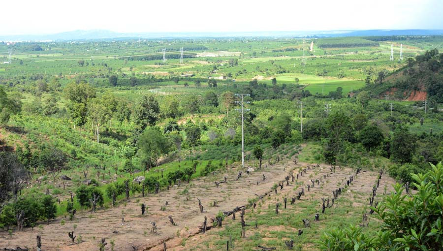  Ban Quản lý Rừng phòng hộ Ia Ly có nhiều sai phạm trong việc sử dụng tiền chi trả dịch vụ môi trường rừng. Ảnh: Minh Nguyễn