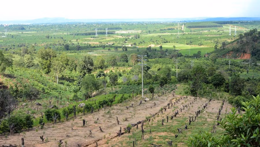  Ban Quản lý Rừng phòng hộ Ia Ly có nhiều sai phạm trong việc sử dụng tiền chi trả dịch vụ môi trường rừng. Ảnh: Minh Nguyễn
