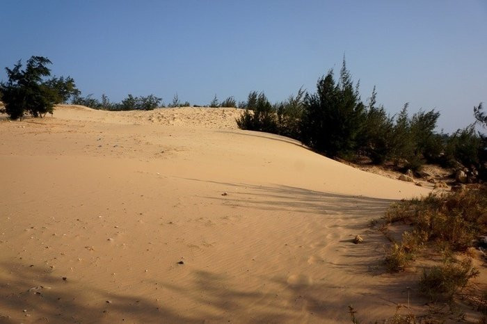 Đồi cát hoang sơ Xã Bình Thạnh...