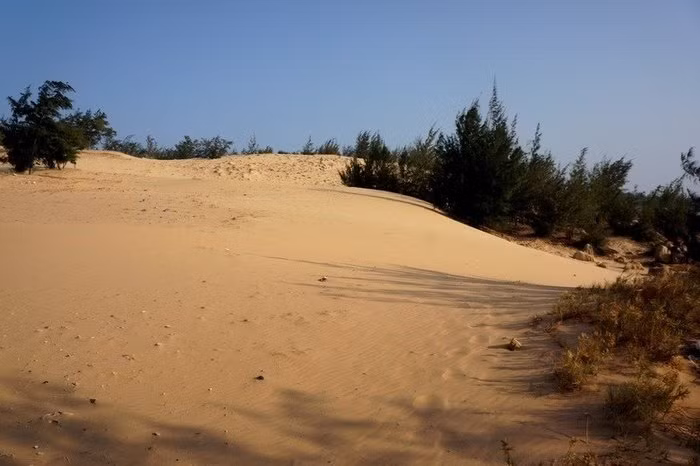 Đồi cát hoang sơ Xã Bình Thạnh...