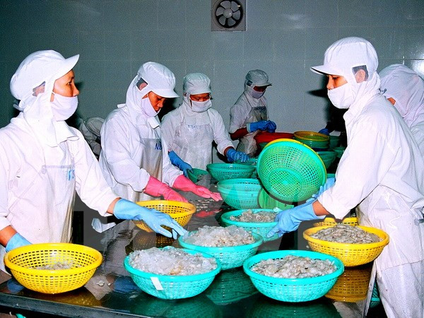 Chế biến tôm đông lạnh xuất khẩu. Chế biến tôm đông lạnh xuất khẩu.