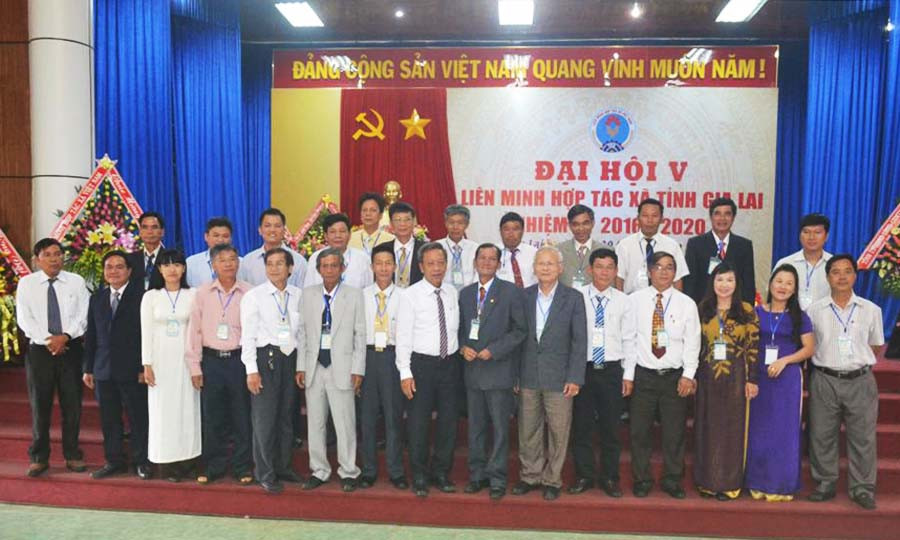 Ban Chấp hành Liên minh HTX tỉnh nhiệm kỳ 2016-2020. Ảnh: L.N Ban Chấp hành Liên minh HTX tỉnh nhiệm kỳ 2016-2020. Ảnh: L.N