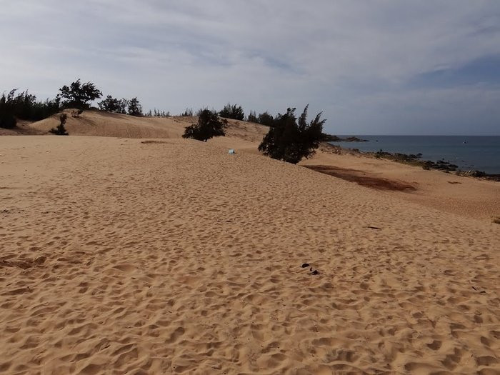 ...cùng những cồn cát rộng mênh mông