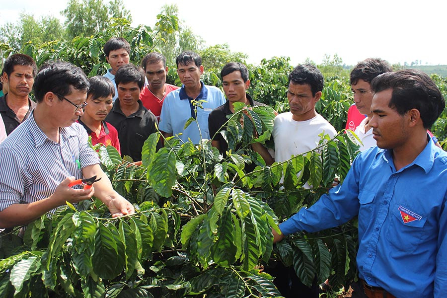 Tập huấn chuyển giao khoa học kỹ thuật tại nhóm chung sở thích xã Trang. Ảnh: N.D Tập huấn chuyển giao khoa học kỹ thuật tại nhóm chung sở thích xã Trang. Ảnh: N.D