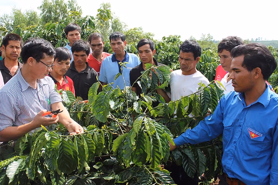 Tập huấn chuyển giao khoa học kỹ thuật tại nhóm chung sở thích xã Trang. Ảnh: N.D