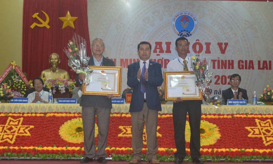 Ủy ban nhân dân tỉnh tặng bằng khen cho 2 HTX có thành tích xuất sắc. Ảnh: L.N Ủy ban nhân dân tỉnh tặng bằng khen cho 2 HTX có thành tích xuất sắc. Ảnh: L.N