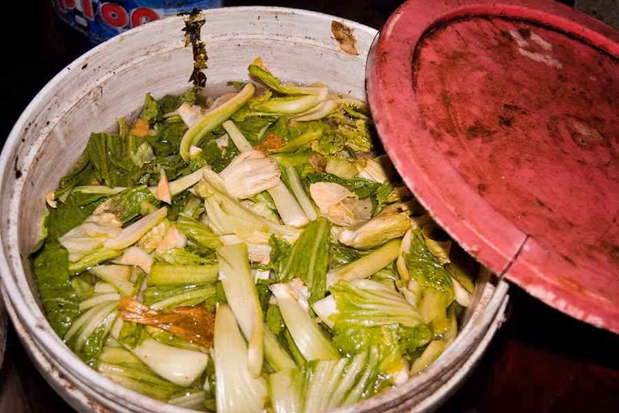  Rau cải được muối hàng ngày trong vỏ thùng sơn. Ảnh: Trần Dung