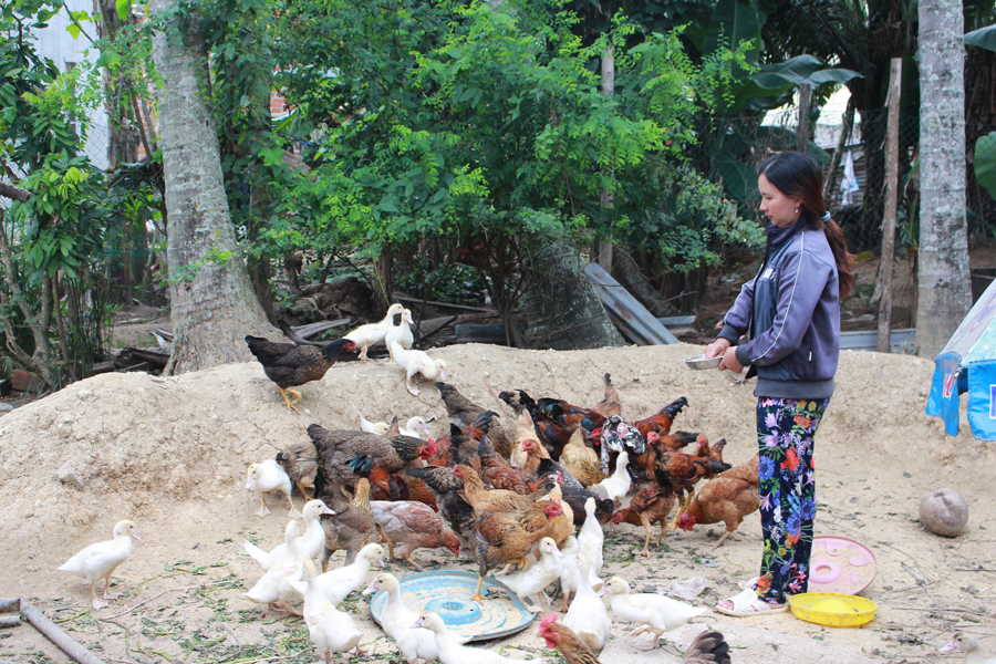 Chị Thanh buồn bã bên đàn gà, vịt-tài sản còn lại của gia đình sau khi mất sạch tiền vì chơi Bitcoin. Ảnh: H.T