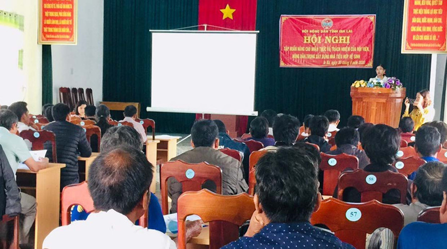 Quang cảnh buổi tập huấn. Ảnh: Hồng Thương