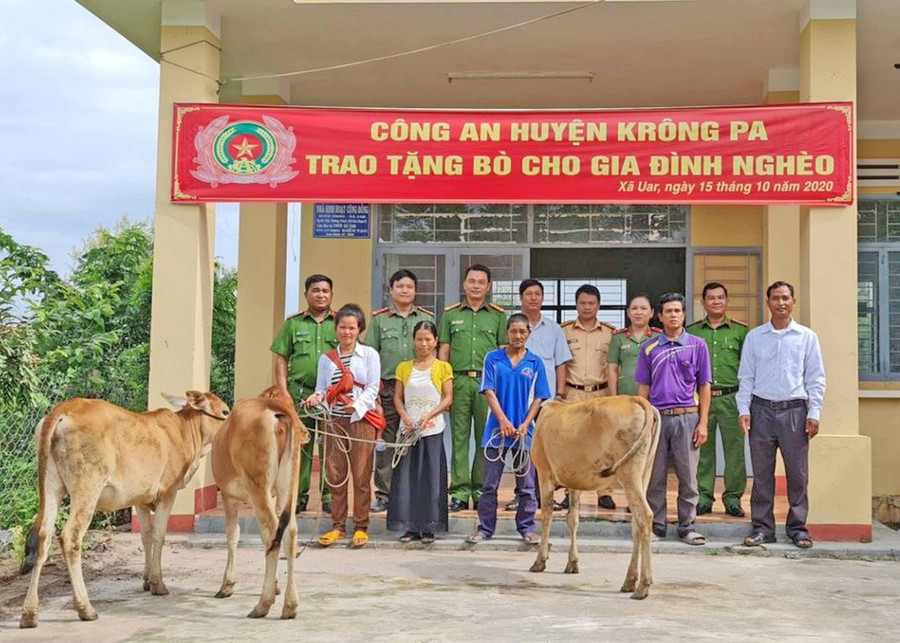 Công an huyện Krông Pa trao 3 con bò (trị giá 30 triệu đồng) cho các hộ dân ở buôn Tieng (xã Uar). Ảnh: Văn Ngọc