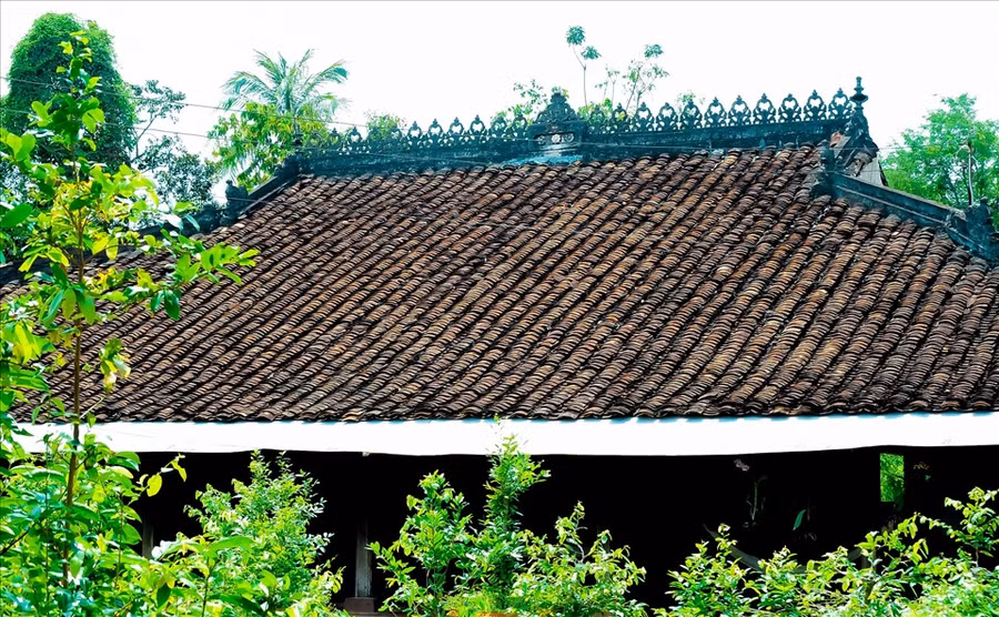 Từ phía xa, ngôi nhà với lối kiến trúc độc đáo, cổ kính, nằm khuất sau những rặng cây xanh mát.