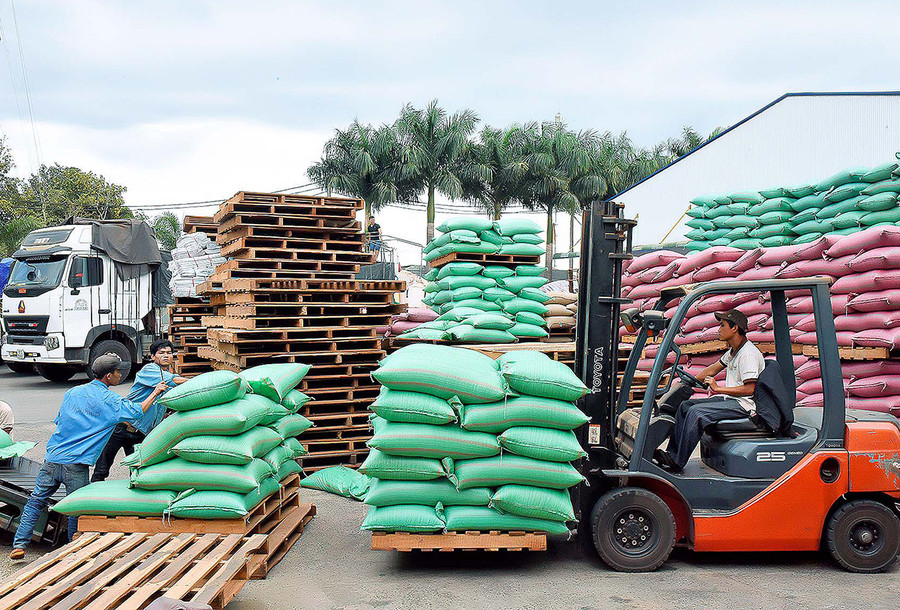 Xuất khẩu cà phê ở Công ty TNHH Vĩnh Hiệp (TP. Pleiku). Ảnh: Đức Thụy Xuất khẩu cà phê ở Công ty TNHH Vĩnh Hiệp (TP. Pleiku). Ảnh: Đức Thụy