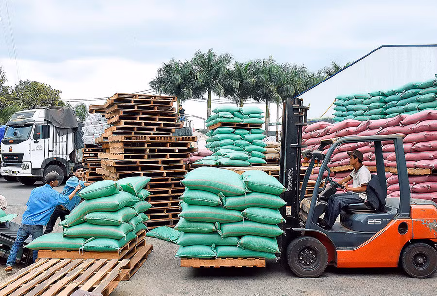  Xuất khẩu cà phê ở Công ty TNHH Vĩnh Hiệp (TP. Pleiku). Ảnh: Đức Thụy