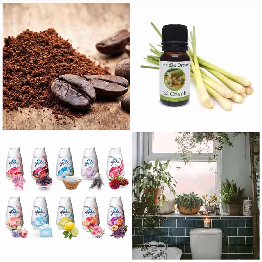 Một vài biện pháp khử mùi nhà vệ sinh đơn giản. Đồ họa: Đức Mạnh