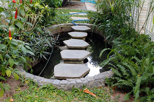 Sân vườn. Ảnh: NSCC