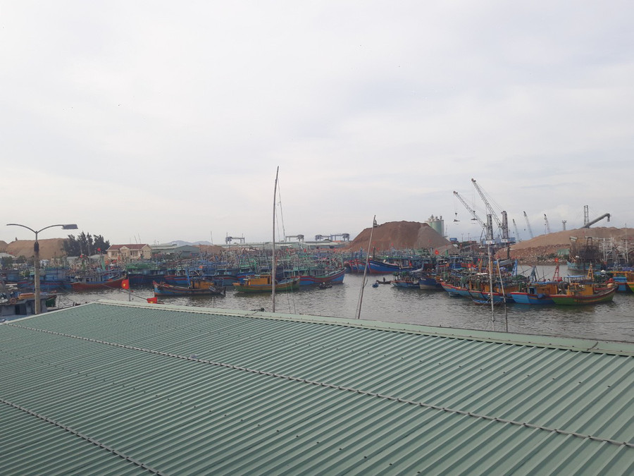 Tàu cá neo đậu ở cảng cá Quy Nhơn để tránh bão số 9. Tàu cá neo đậu ở cảng cá Quy Nhơn để tránh bão số 9.