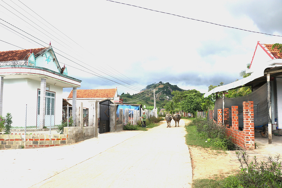 Các tuyến đường nội làng Kdâu (xã Kông Lơng Khơng, huyện Kbang) được đầu tư bê tông hóa. Ảnh: Ngọc Minh Các tuyến đường nội làng Kdâu, xã Kông Lơng Khơng, huyện Kbang được đầu tư bê tông hóa. Ảnh: Ngọc Minh