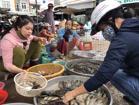 Chị Nguyễn Thị Nhung bán cá đồng tại chợ Bàu Sậy