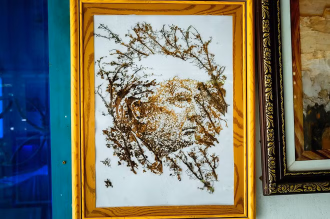 Chân dung Tổng thống Donald Trump được ông Bảy Nghĩa khắc họa bằng chất liệu gân sen và bụi sen độc đáo - ẢNH: DUY TÂN