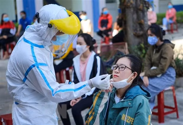 Lấy mẫu xét nghiệm COVID-19. (Ảnh: Trần Lê Lâm/TTXVN)