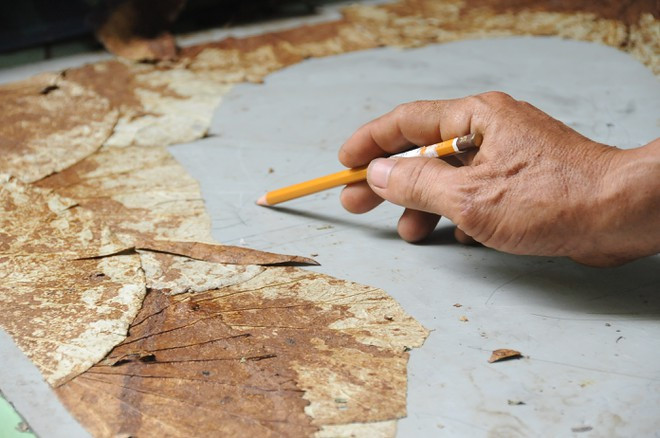  Định hình để dán gân sen - ẢNH: DUY TÂN