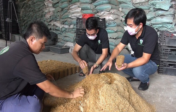 Ba anh anh Nguyễn Trương Kiến Khương, Nguyễn Hữu Văn và bạn là kỹ sư xây dựng Phạm Tuấn Đạt thực hiện giai đoạn đóng gói giá thể để chuẩn bị cho meo giống vào tại trại trồng nấm rơm ấp Vàm, xã Thiện Tâm, huyện Vĩnh Cửu, tỉnh Đồng Nai.
