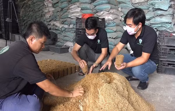 Ba anh anh Nguyễn Trương Kiến Khương, Nguyễn Hữu Văn và bạn là kỹ sư xây dựng Phạm Tuấn Đạt thực hiện giai đoạn đóng gói giá thể để chuẩn bị cho meo giống vào tại trại trồng nấm rơm ấp Vàm, xã Thiện Tâm, huyện Vĩnh Cửu, tỉnh Đồng Nai.