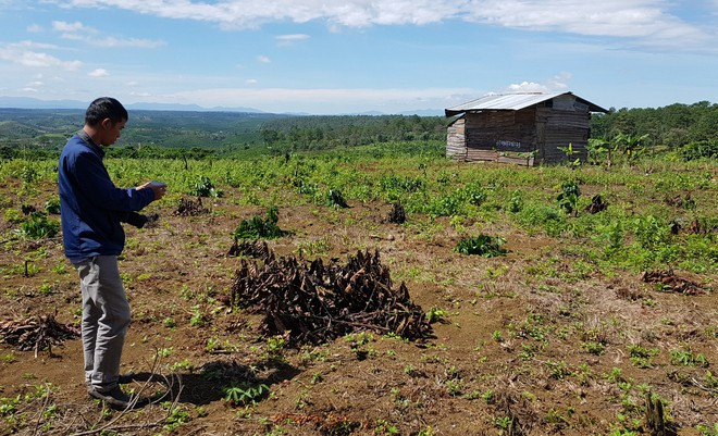 Ngôi nhà được dựng trái phép trên đất rừng ở xã Lộc Phú, H.Bảo Lâm ẢNH: LÂM VIÊN
