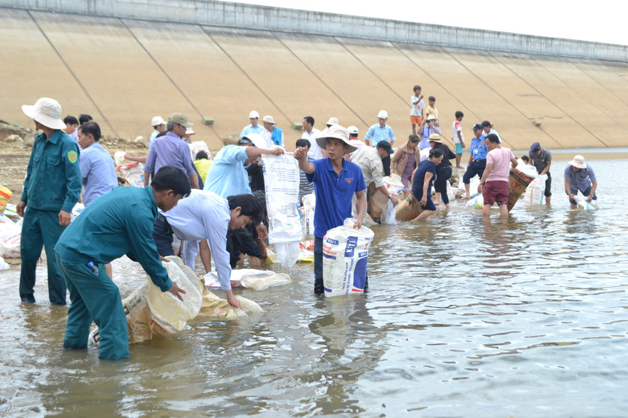 Thả cá giống xuống hồ thủy diện Ka Nak (huyện Kbang). Ảnh: Lê Nam 