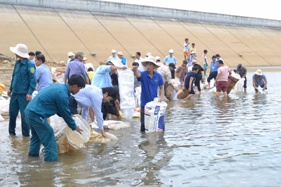 Thả cá giống xuống hồ thủy diện Ka Nak (huyện Kbang). Ảnh: Lê Nam 