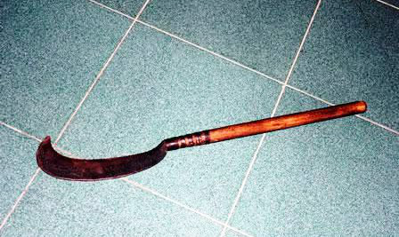 Ảnh minh họa Ảnh minh họa
