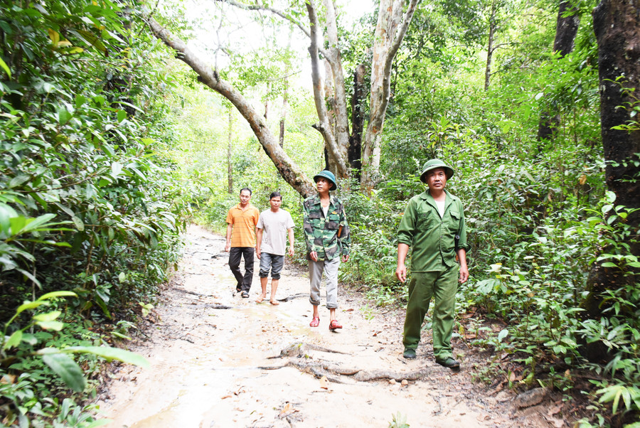 Những “lâm tặc” khét tiếng ngày nào nay đã trở thành người bảo vệ rừng. Ảnh: Minh Nguyễn