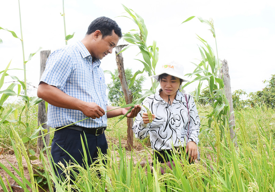 Công tác đào tạo, bồi dưỡng cán bộ luôn được các cấp ủy Đảng quan tâm nhằm đáp ứng yêu cầu nhiệm vụ trong tình hình mới. Ảnh: Minh Nguyễn Công tác đào tạo, bồi dưỡng cán bộ luôn được các cấp ủy Đảng quan tâm nhằm đáp ứng yêu cầu nhiệm vụ trong tình hình mới. Ảnh: Minh Nguyễn