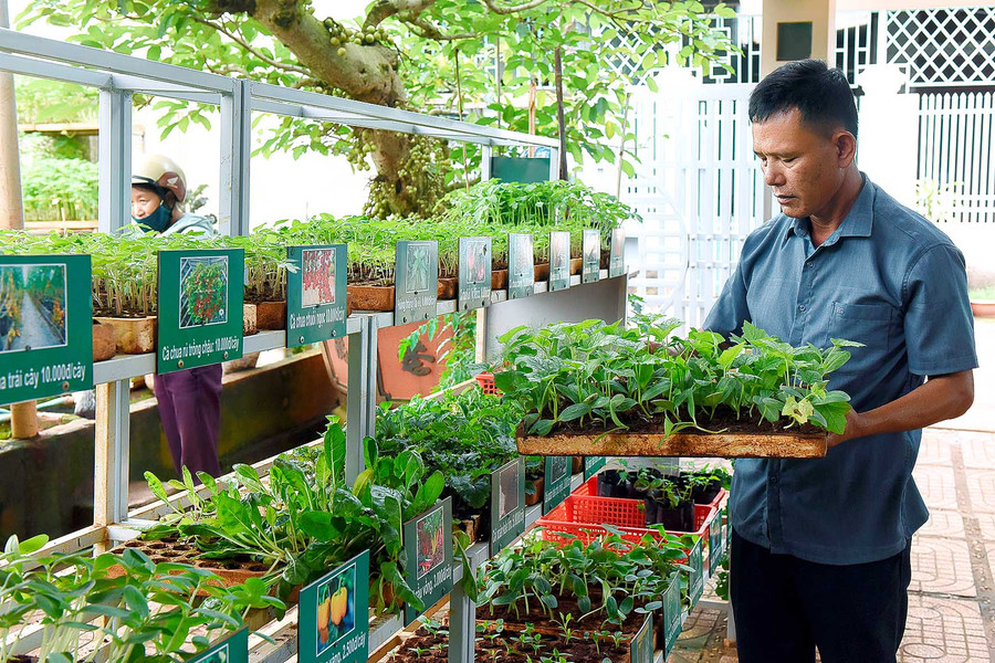 Năm 2017 gia đình anh Trần Viết Lãm ở tổ 2 phường Đống Đa, TP. Pleiku đầu tư hơn 1 tỷ đồng xây dựng cơ sở vật chất để làm nhà lồng, mua máy ươm các loại cây giống để cung cấp cho thị trường trên địa bàn TP. Pleiku, mỗi năm cho thu nhập trên 300 triệu đồng - cao gấp 10 lần so với ươm giống truyền thống…