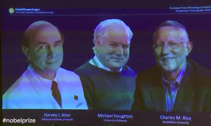 Giải thưởng danh giá năm nay được trao cho 3 nhà khoa học Harvey J. Alter, Michael Houghton và Charles M. Rice. Ảnh: Nobel Prize