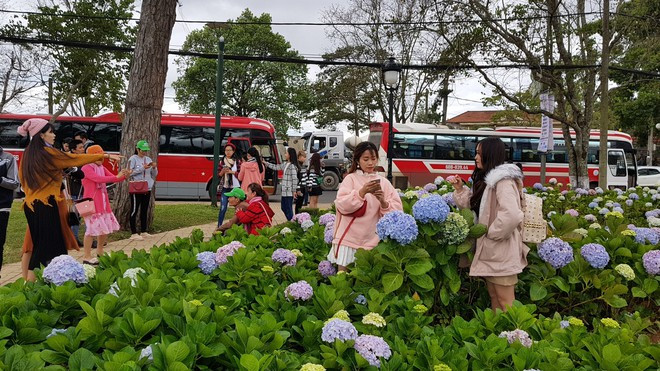 Du khách chụp hình ở công viên hoa trước UBND tỉnh Lâm Đồng ẢNH: LÂM VIÊN