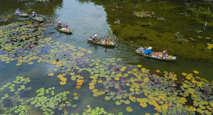 Du khách đi thuyền được ngắm những loại thủy sinh phong phú dưới làn nước tạo nên một vẻ đẹp ấn tượng của tự nhiên. (Ảnh: Minh Đức/TTXVN) Du khách đi thuyền được ngắm những loại thủy sinh phong phú dưới làn nước tạo nên một vẻ đẹp ấn tượng của tự nhiên. (Ảnh: Minh Đức/TTXVN)