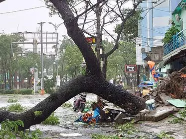 Cây xanh, nhà cửa bị gãy đổ do ảnh hưởng của bão số 9